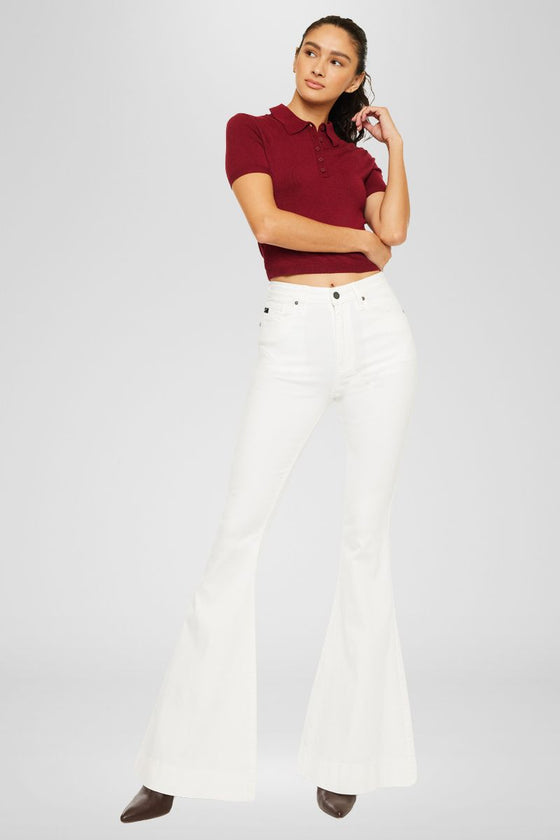 Braelynn High Rise Super Flare Jeans