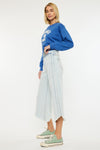 High Rise Crop Gaucho Pants