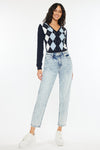 Diane High Rise Mom Jeans