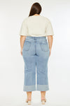 Jennie 90's Cropped Wide Leg Jeans (Plus Size)