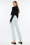 Genevie High Rise Straight Jeans