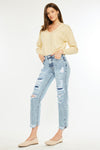 Mikel High Rise Straight Leg Jeans